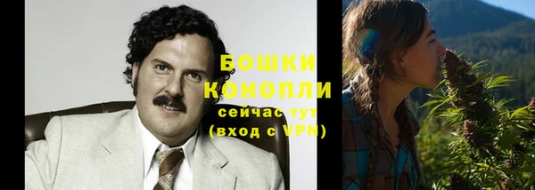 скорость Каменка