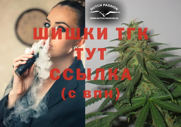 скорость Каменка