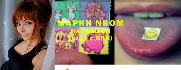 скорость Каменка