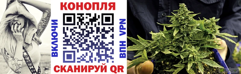 Купить закладки Зуевка Шишки марихуана сатива